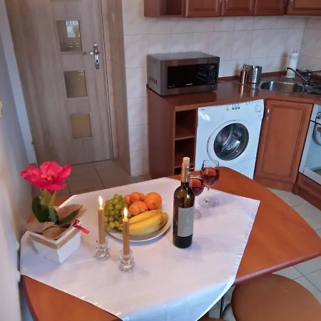 Niezalezny Apartament Emilka W Sercu Uzdrowiska Apartment Kudowa Zdroj